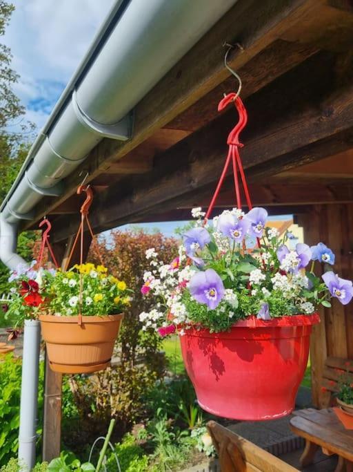 Ferienwohnung *Zur Weinbergstrasse* Lauta Exterior foto